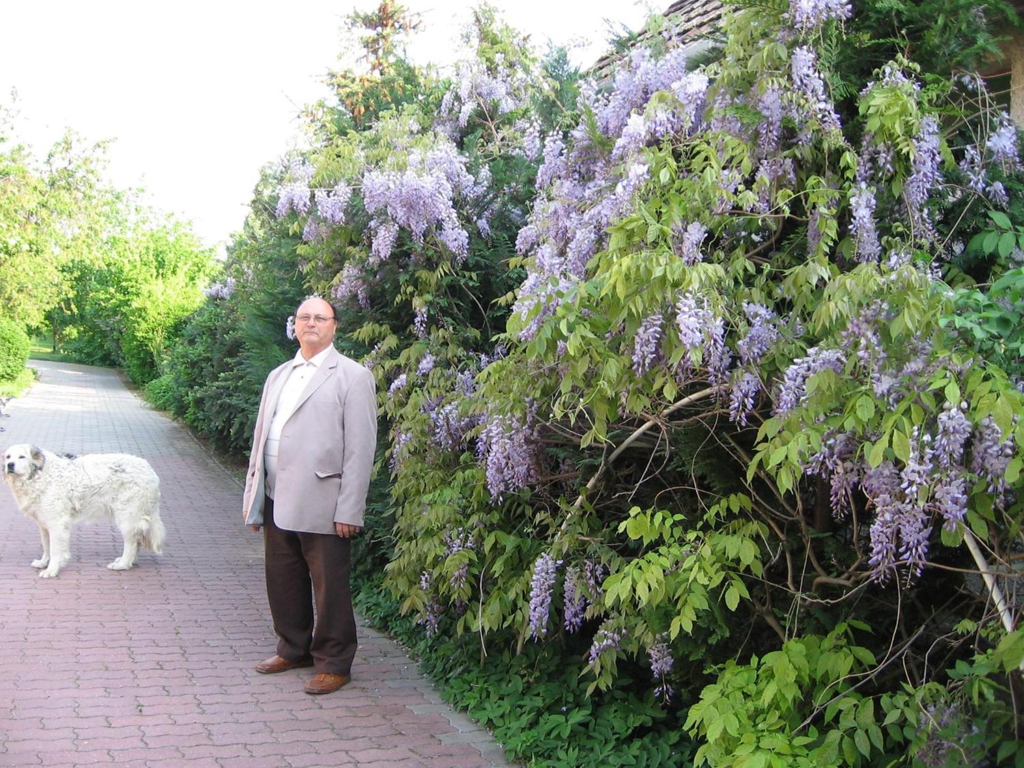 Pension Ovari Бік Екстер'єр фото