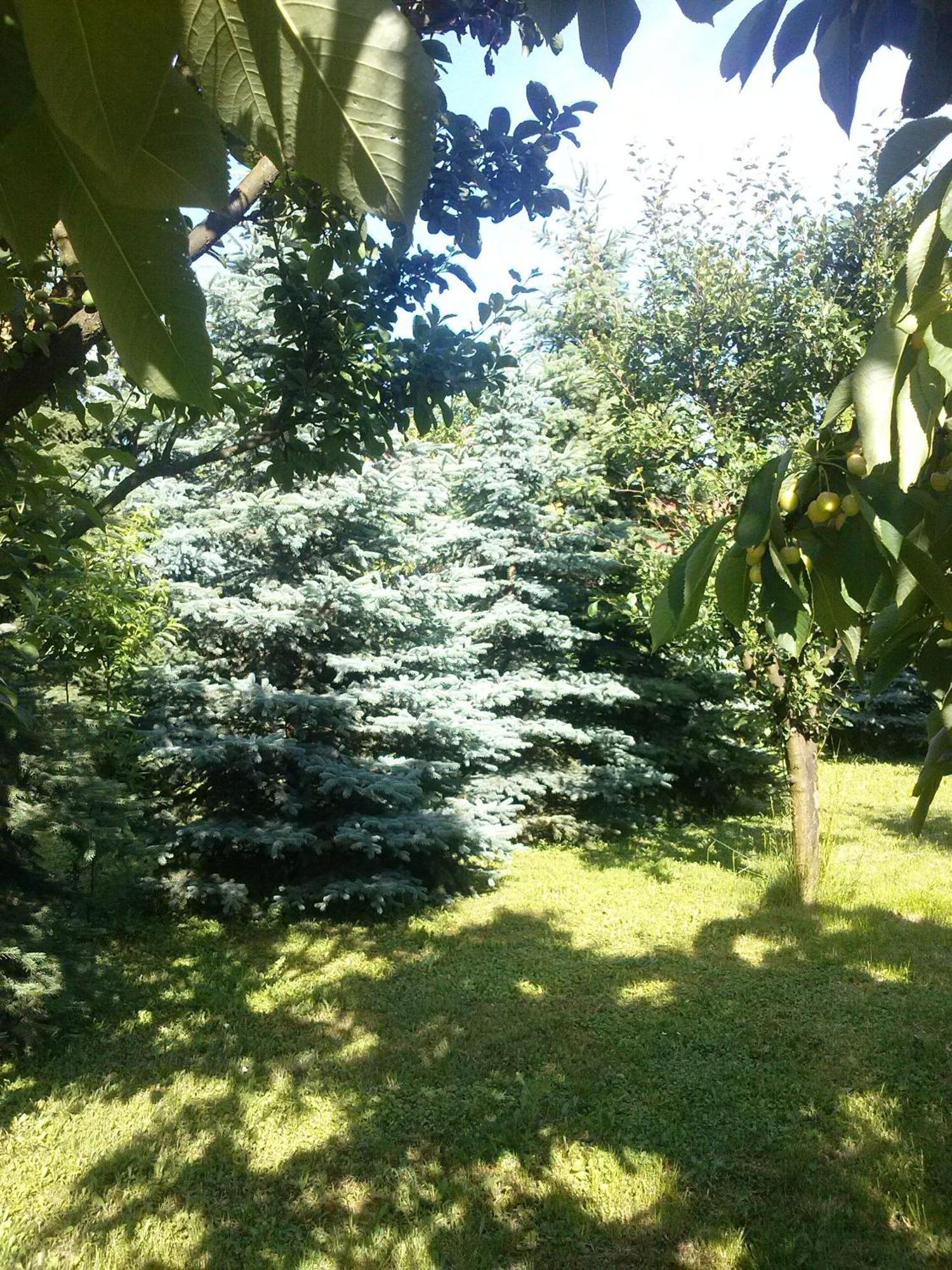Pension Ovari Бік Екстер'єр фото