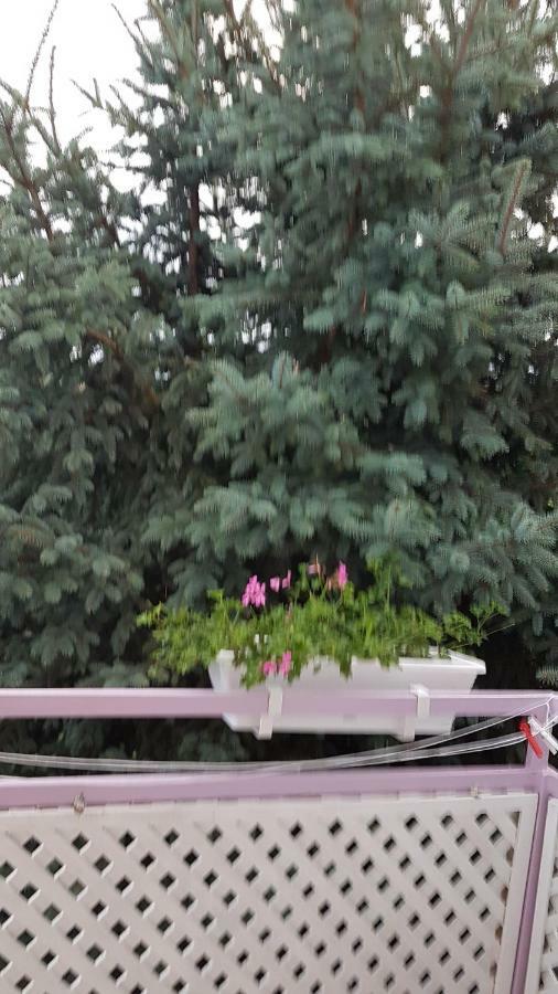 Pension Ovari Бік Екстер'єр фото
